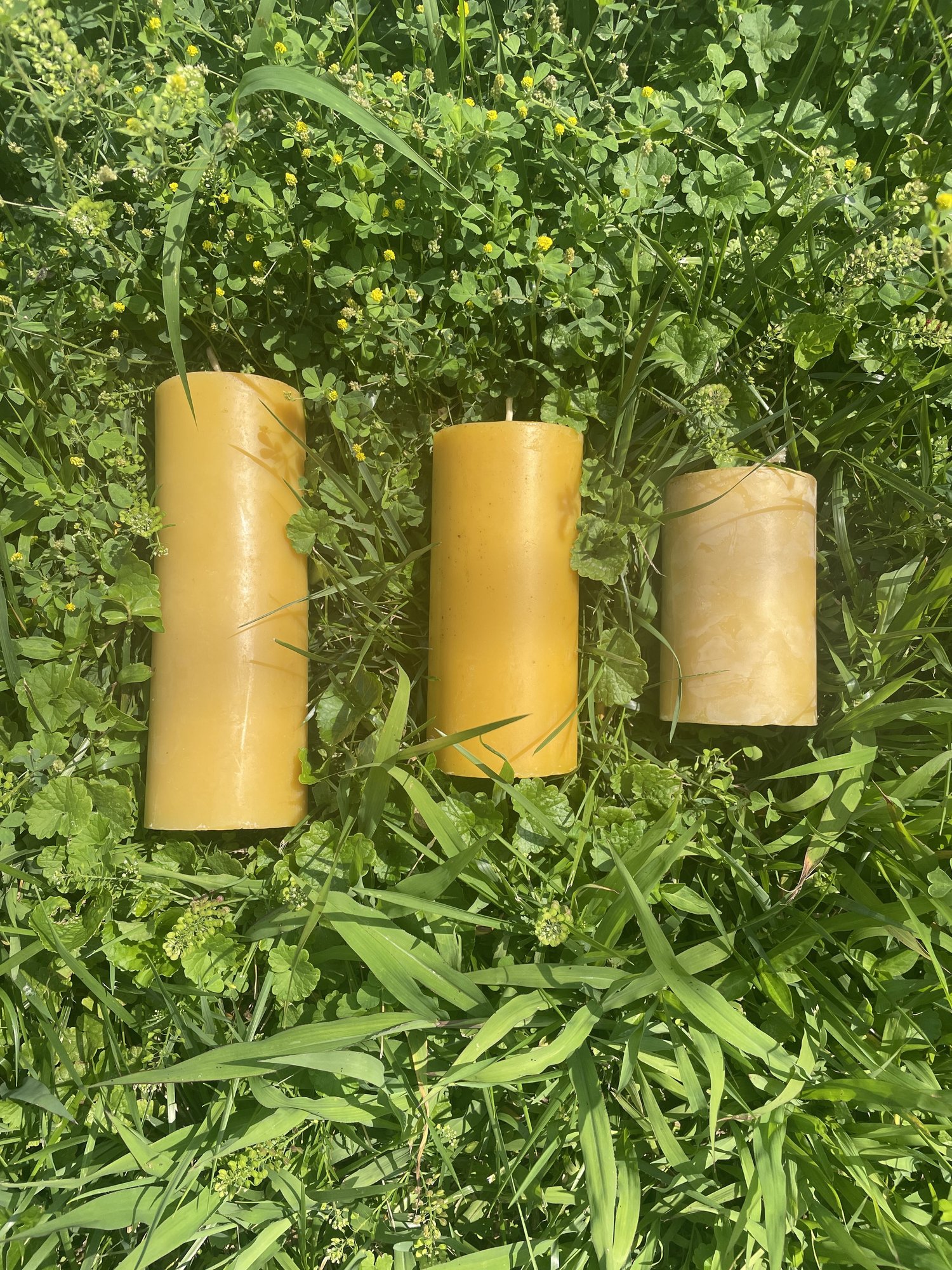 Three beeswax pillar candles in small, medium and large, standing in the grass