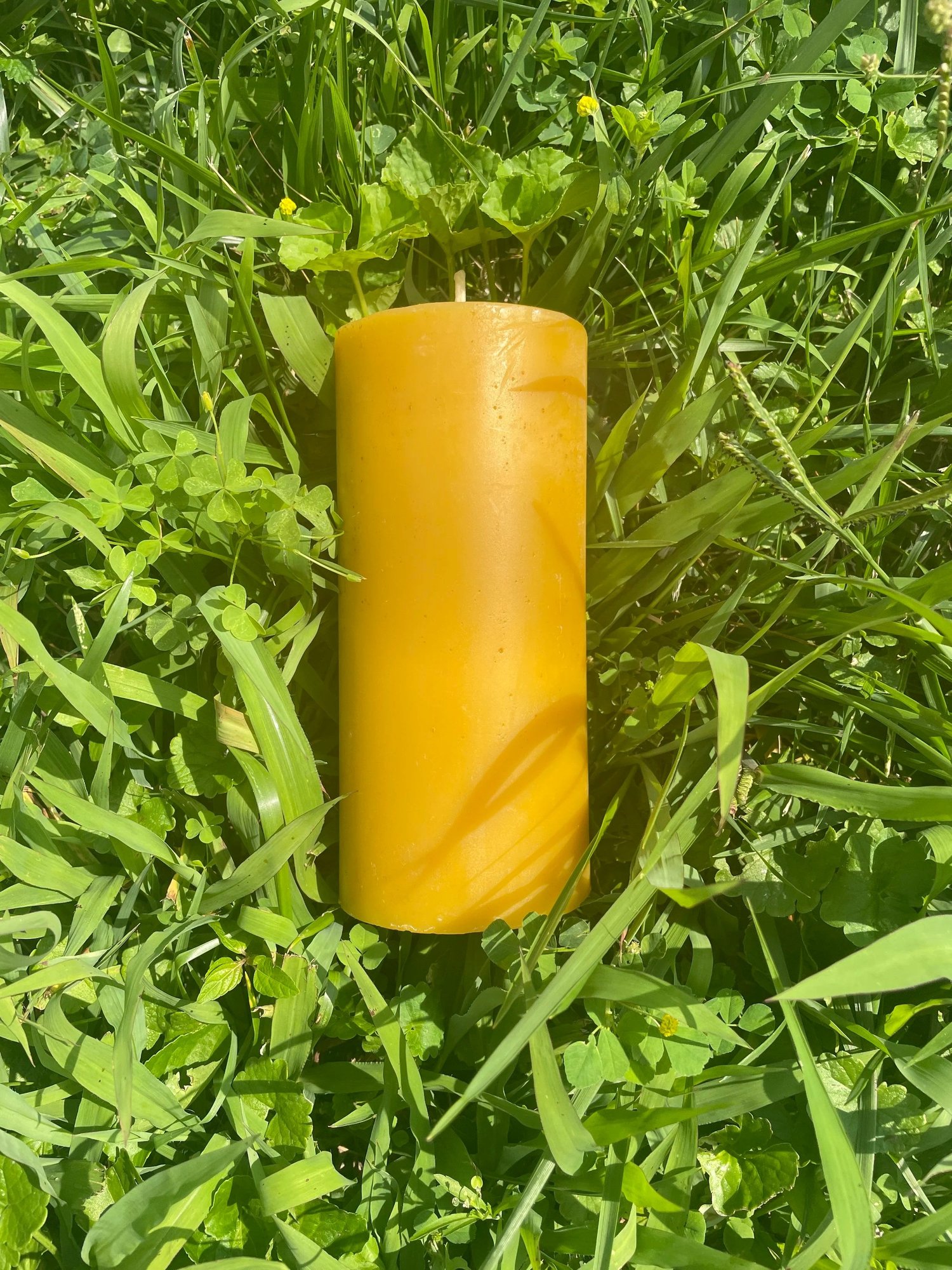 A single beeswax pillar candle in tall grass